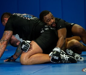 MMA image 13